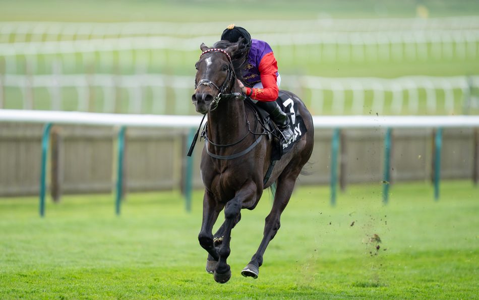 A Guineas rallying cry and no hesitation about this early Arc choice - seven things our analysts learned from last week's action
