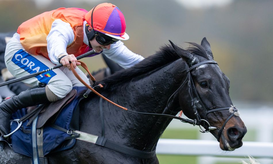 Confirmed runners and riders for the 2025 Welsh Grand National at ...