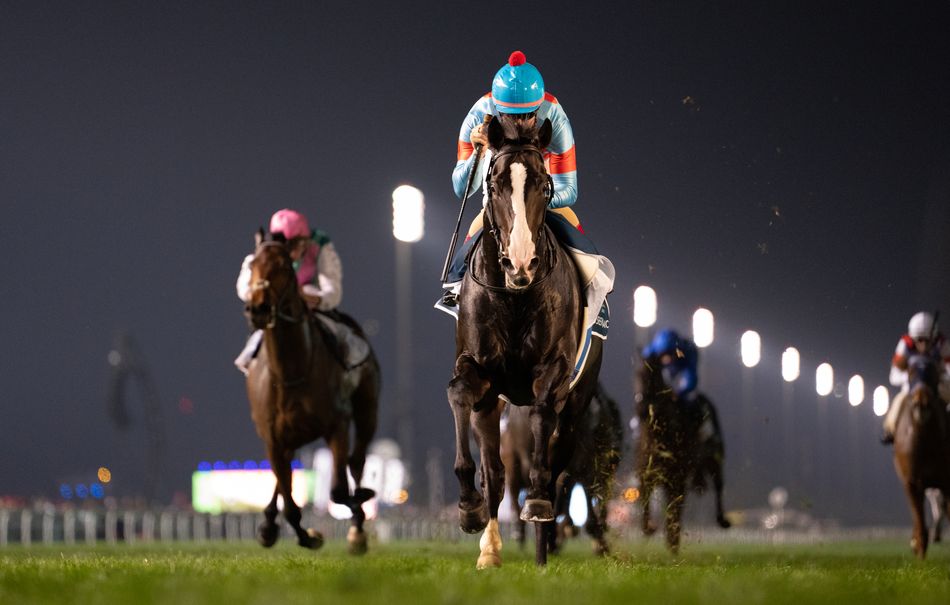 Japan has the best horse in the world and that horse is an absolute