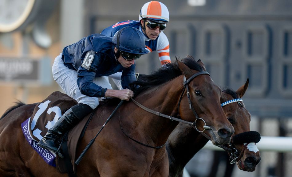 Henri Matisse to renew rivalry with Field Of Gold as Aidan O'Brien outlines his Glorious Goodwood team