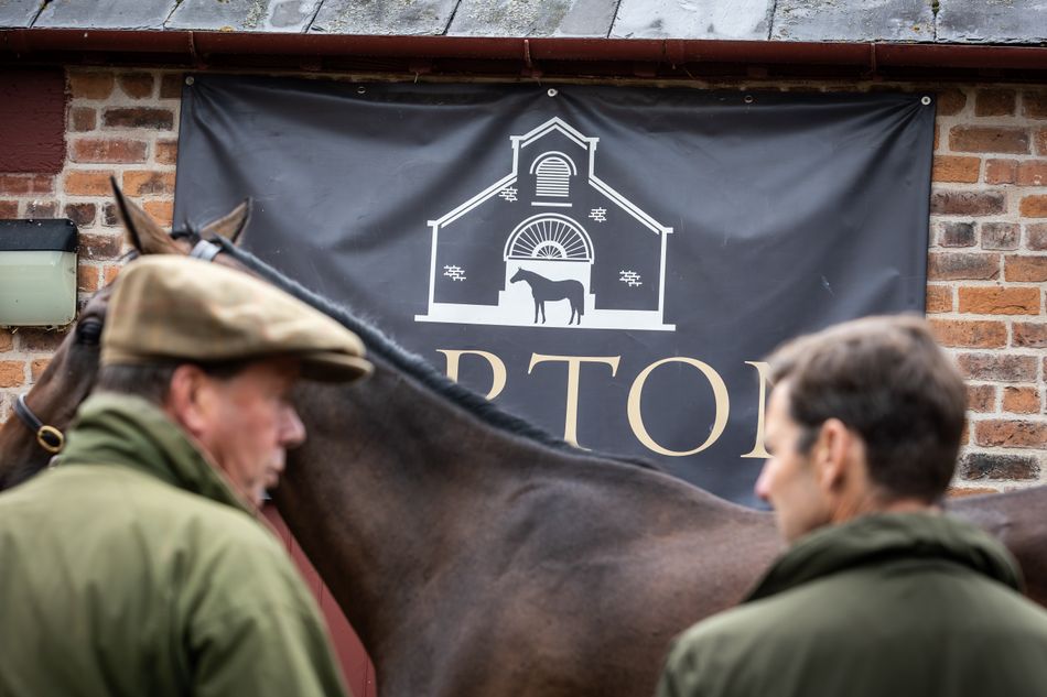 'A growing presence on the sales calendar' - strong catalogue unveiled for Goffs Yorton Sale