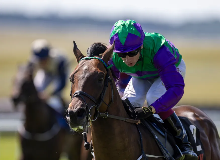 'He's a very high-class colt' - smart Curragh winner primed for Group 1 tilt with Breeders' Cup bid on the horizon