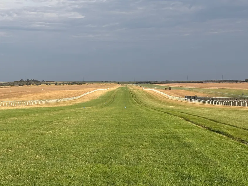 'We've had the driest July on record in Britain, and there doesn’t seem to be any rain around' - key Newmarket gallop to close