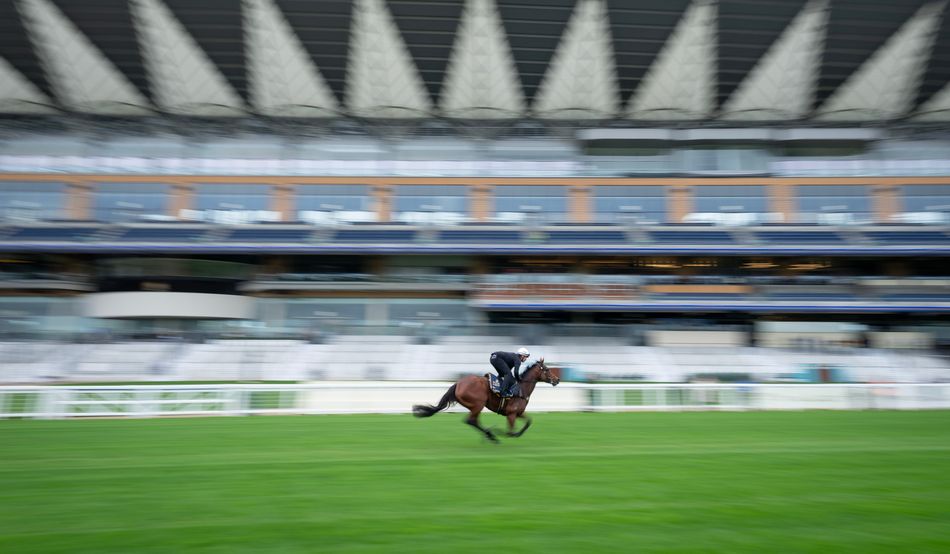 WATCH: top Australian sprinters step up Royal Ascot preparations at Friday's gallops morning