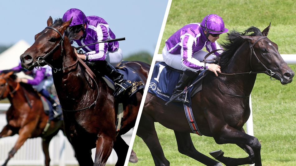 www.racingpost.com