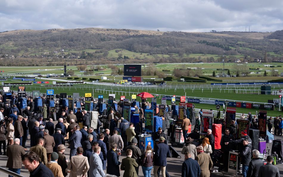 These eight Cheltenham Festival finishes all got the pulse racing - but which from our list make up your top three?