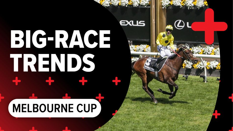 Melbourne Races Flash Big-race trends: key stats to help you find the winner of the Melbourne ...