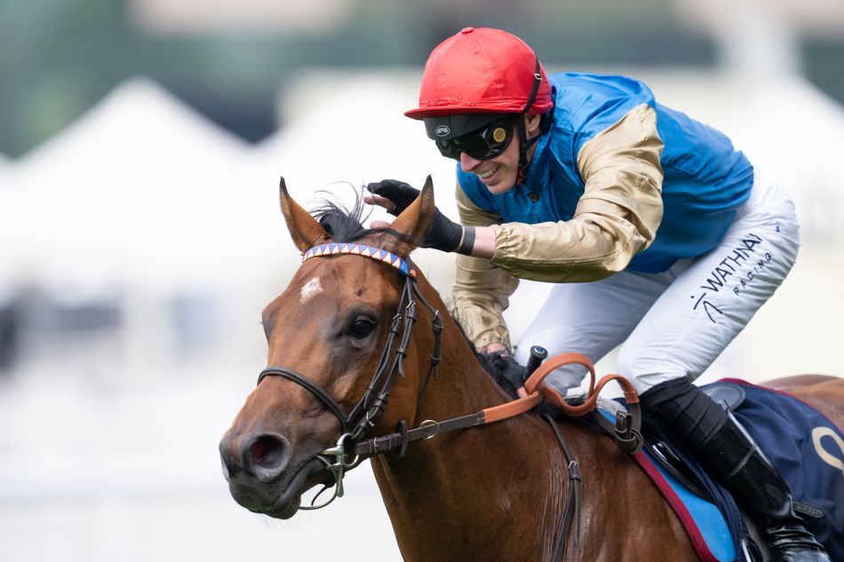 Wathnan celebrate 'dream week' at Royal Ascot and now attention turns ...