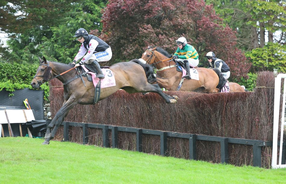 'He's a bit of a hooligan but I love him to bits' - veteran Sir Tivo and sidekick Sean Bowen upset the odds in feature chase