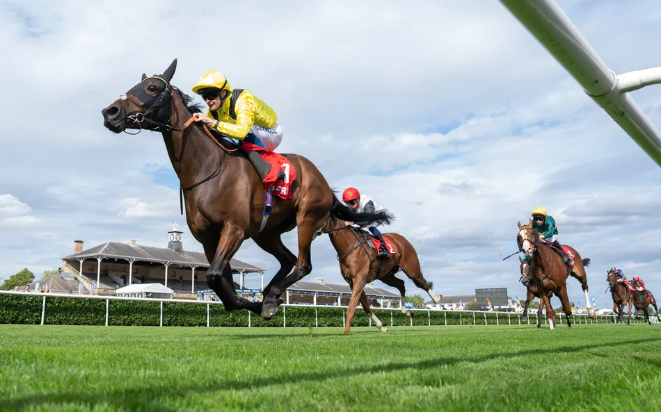 Owen Burrows 'hit a brick wall' last weekend but bounces back with a filly who's 'not easy' in the Park Hill