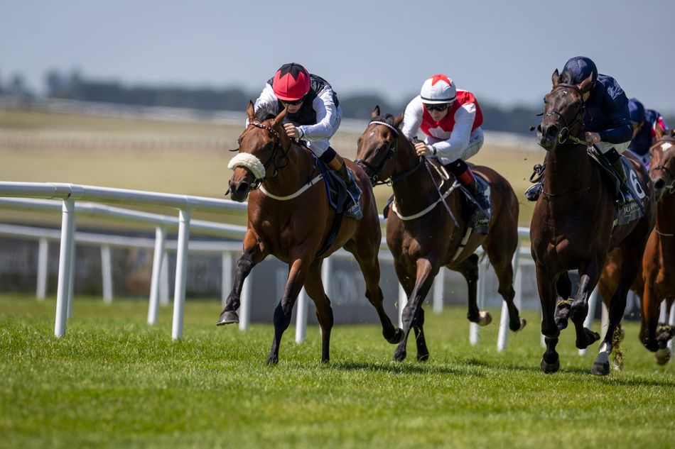 A juvenile maiden chock-full of potentially smart colts - and a 7-1 ante-post punt that looks too good to miss