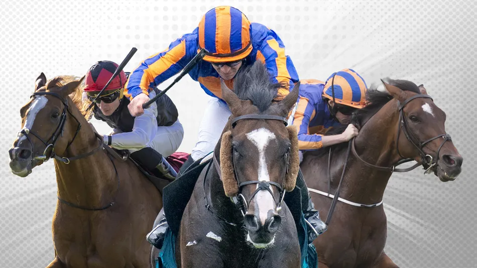 Scandinavia bids to become a dual St Leger winner and join Aidan O'Brien's staying superstars