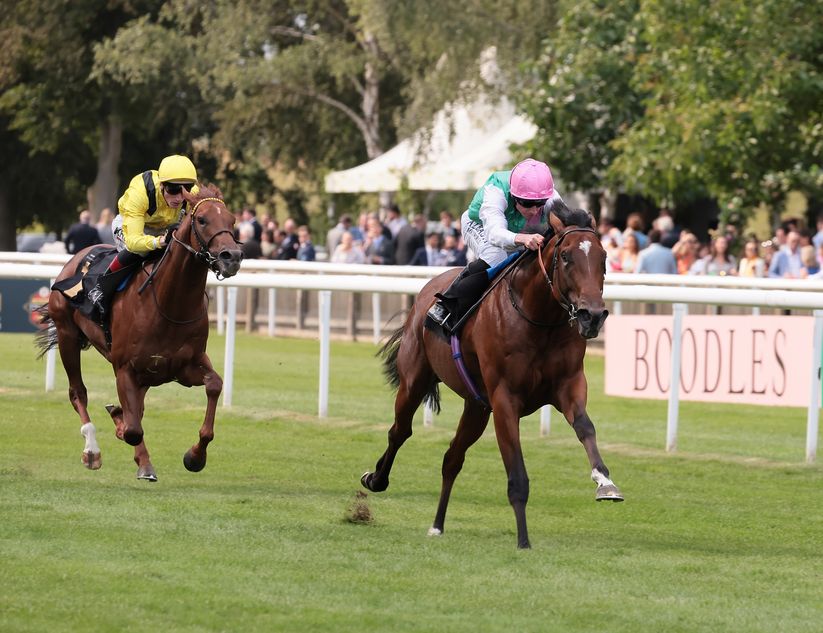 Nostrum to take the Baaeed route as connections swerve Sussex clash ...