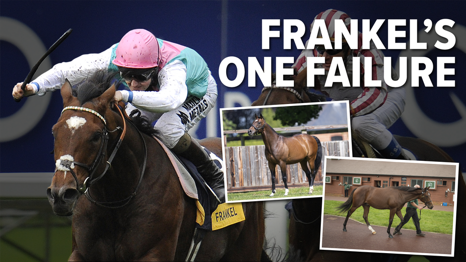 The amazing story of Frankel's one failure - and how he bounced back to prove the experts wrong