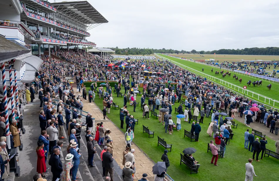 Surprise results on day three of Ebor festival lead to monster £20,315 ...