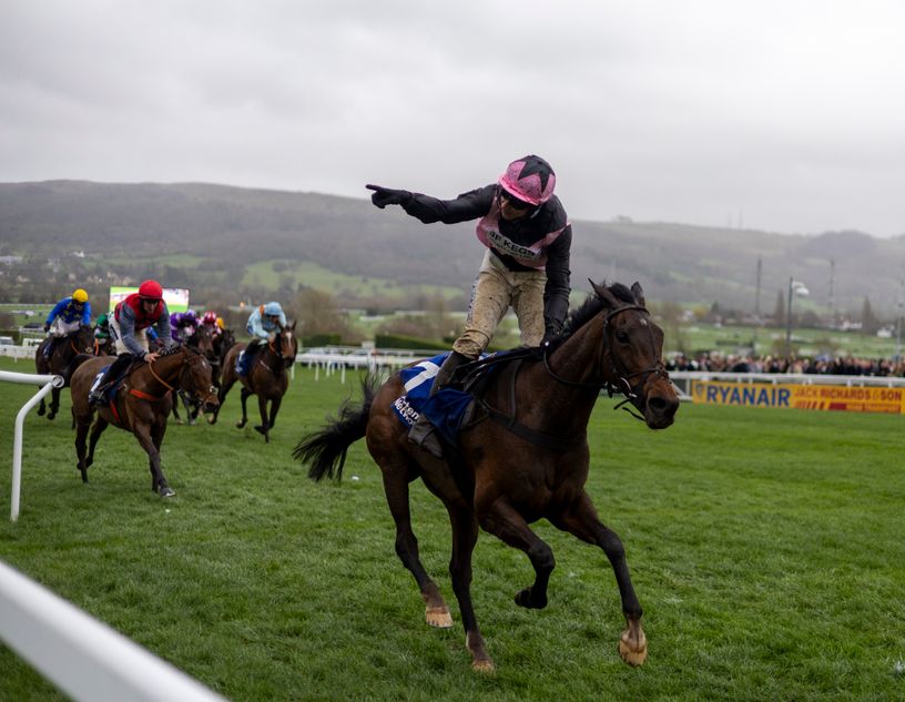 It sparked one of the great Cheltenham Festival gambles last year - so don't go sleeping on Saturday's underrated card