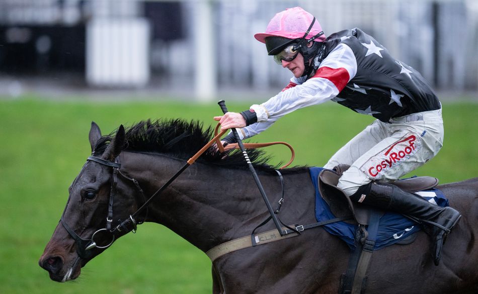 Match race, walkover, four runners, walkover - field size woes for 'chasing excellence' initiative continue at Sandown