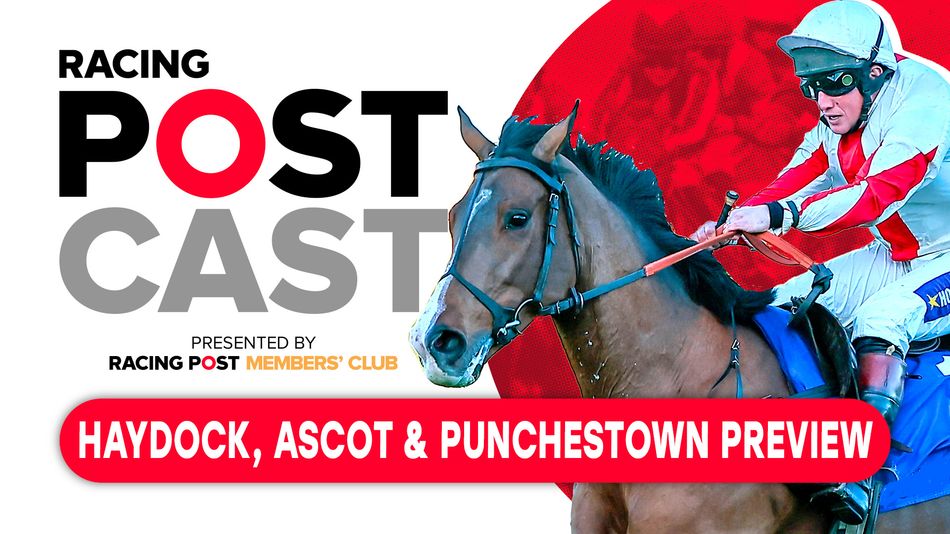 Racing Postcast Betfair Chase preview Haydock, Ascot and Punchestown tips Racing Post