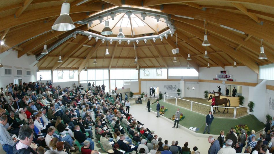 Torquator Tasso’s promising start the talk of BBAG as Baden-Baden becomes the centre of the breeding world