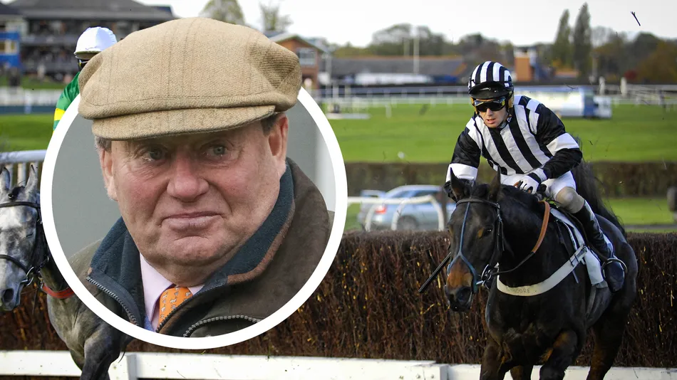 'We're going straight into the grown-up world': Nicky Henderson throws unbeaten novice hurdler into same Cheltenham Grade 2 Altior won