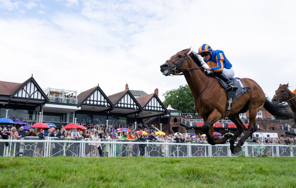 Putting premierisation into practice is proving a tricky task | Racing Post