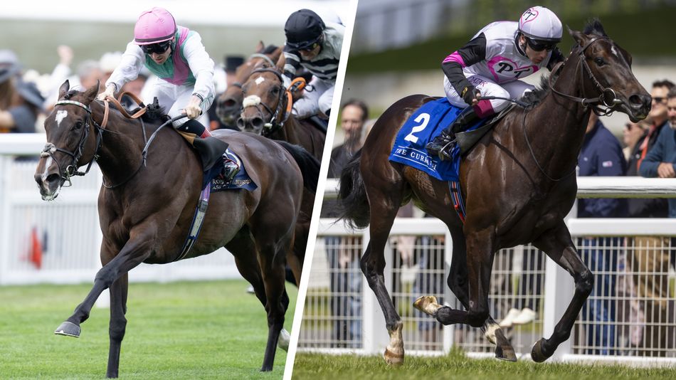 Andrew Balding and Juddmonte gunning for Precise in Falmouth clash of generations