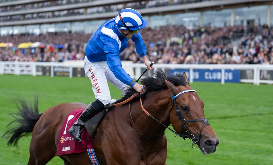Europe's top-rated sprinter Almeraq retired to Shadwell's Beech House Stud after historic Group 1 treble