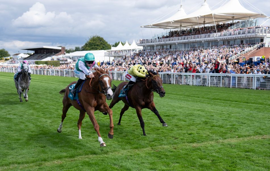 150-1 shock Sussex winner Qirat bidding for first leg of quickfire Goodwood double - but he is not the only Lennox contender with the same target