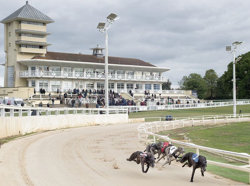 F5 Racer No minimum term as Derby opens to tender | Racing Post
