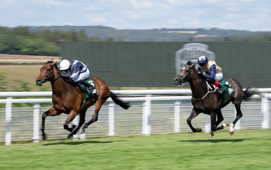 Royal Ascot hero Enceladus cut to 10-1 for St Leger after straightforward success for Joseph O'Brien