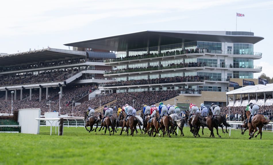 Ground now good to soft at Cheltenham І Newbury's Saturday card cancelled due to waterlogging