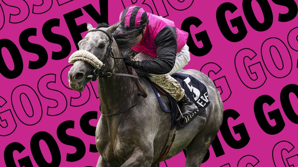 'Big Gossey is becoming sort of a cult figure around here' - can the ultimate underdog strike again at the Curragh?