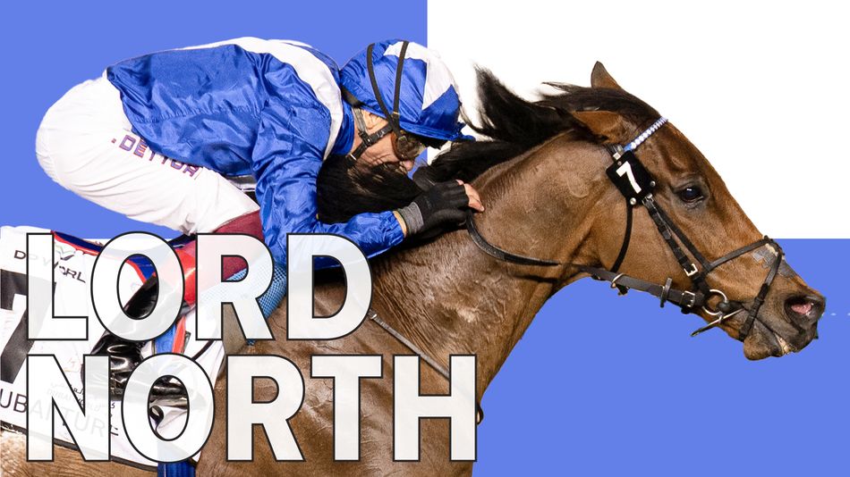 Frankie Dettori reunites with Lord North in hunt for fourth Dubai Turf triumph - Vimarsana News