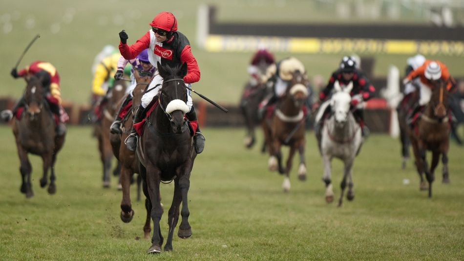 Big Buck's dies aged 23 as Paul Nicholls hails a true jumps legend with 'as much ability as any horse I've ever trained'