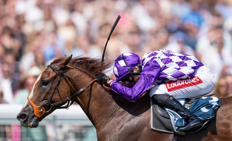 'He's a good horse and he'll win more races' - Persica shows his class to tee up exciting targets for Richard Hannon