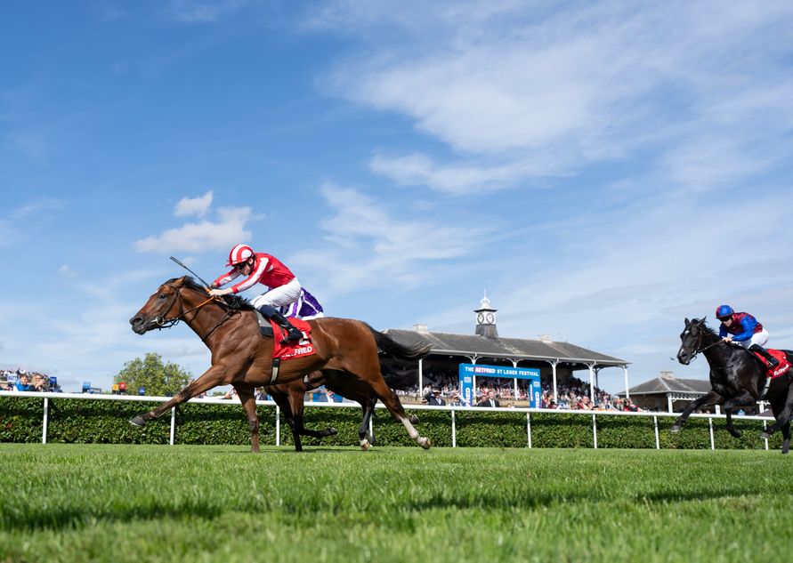 Watch out Constitution Hill - dual Group 1 winner Bay City Roller set to tee up Arc bid in the September Stakes at Kempton