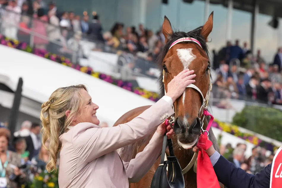 Cheltenum Races 'I've got 15 horses in training, so to win this race is like a dream ...