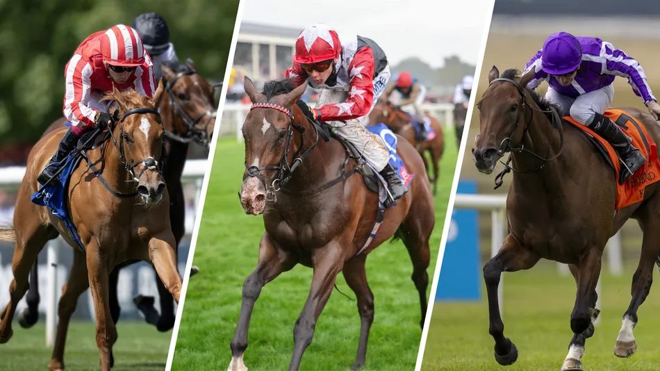 'They are better than the colts' - star fillies Libertango, Senorita Bonita and Sun Goddess poised for potential race of the season