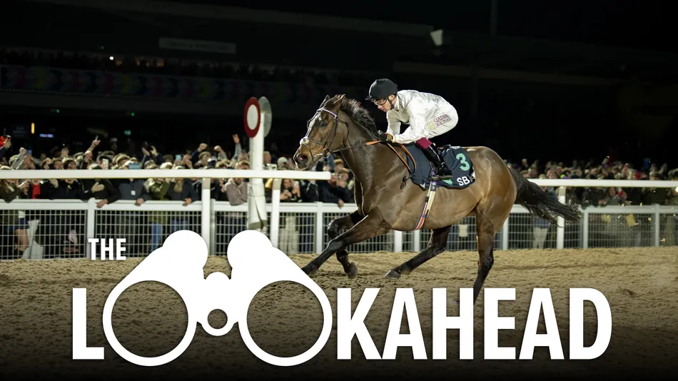 The Italian job: Constitution Hill attempts a daring raid on Milan this weekend - plus Cheltenham is finally back