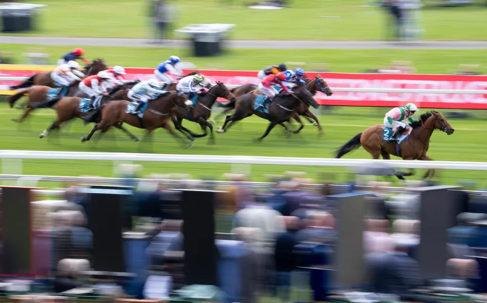 'He's tailor-made for this and is a massive player' - Paul Kealy and Tom Segal are taking on the favourite in Friday's feature race