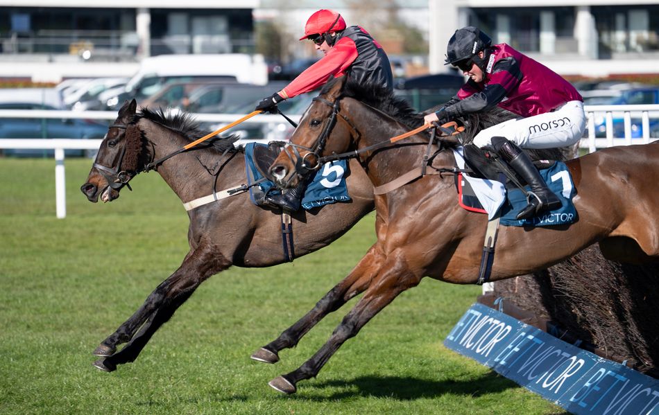 Progressive handicappper set for Topham tilt as Joel Parkinson and Sue ...