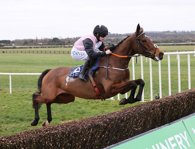 Magic Daze bound for Mares Chase after casting spell over Opera Hat ...