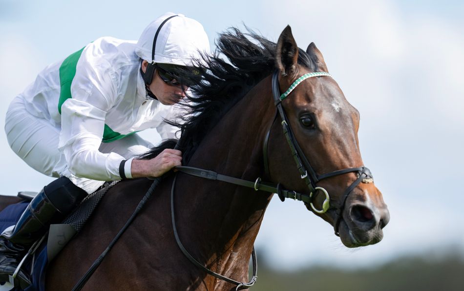Exciting Gosden colt still on Derby trail despite late Chester ...