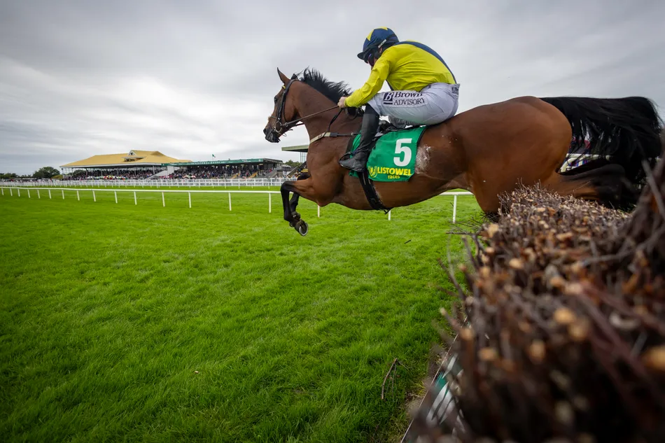 'He's a young man's ride' - Net Boy does the business for Barry Connell and Sean Flanagan in Listowel feature