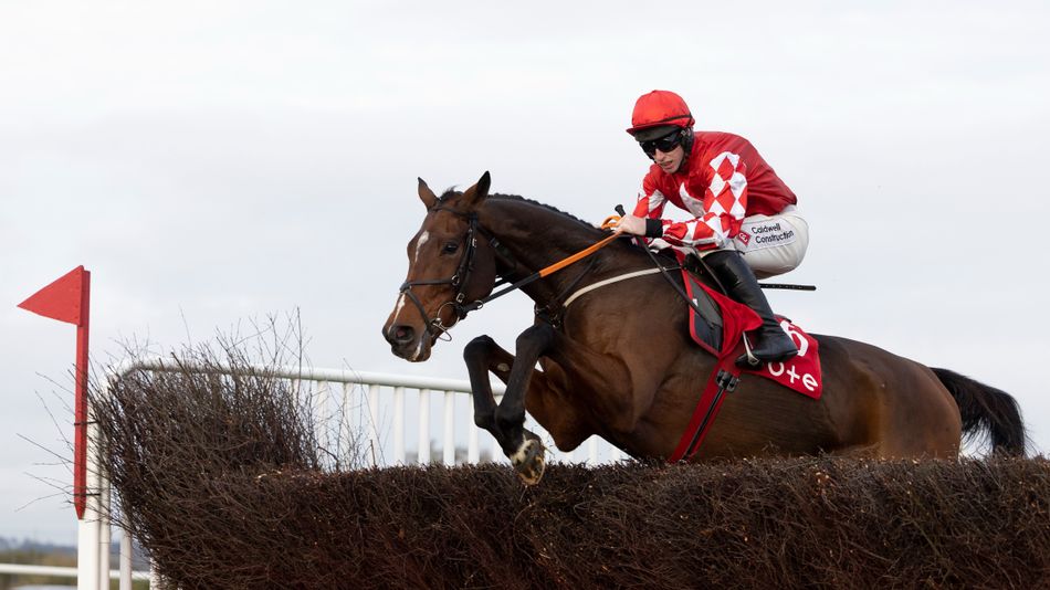 Mighty Potter and Sir Gerhard declared for Grade 1 clash at Fairyhouse
