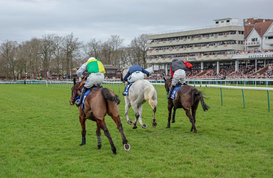 'We're taking precautions as it's a really classy card' - Haydock ...