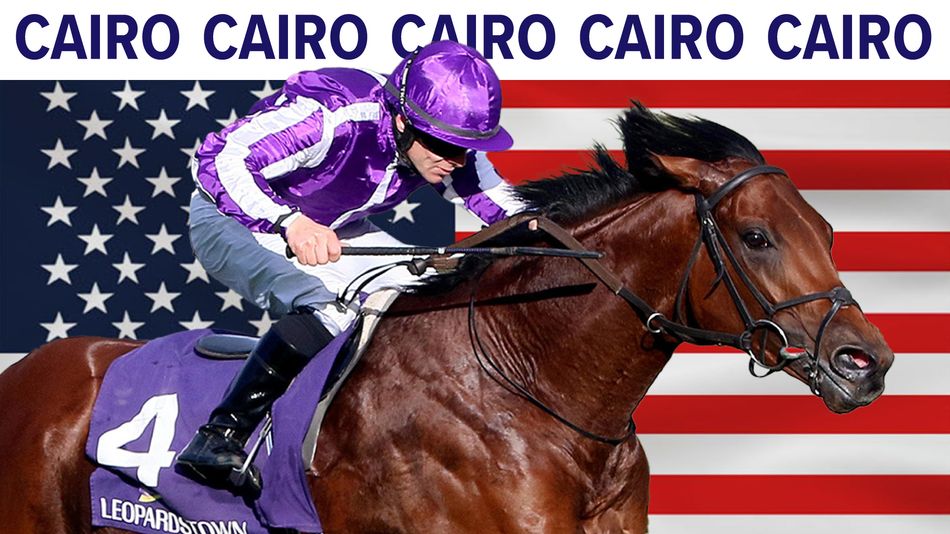 'He’s a seasoned traveller, he loves it' - Cairo chasing a Million for ...