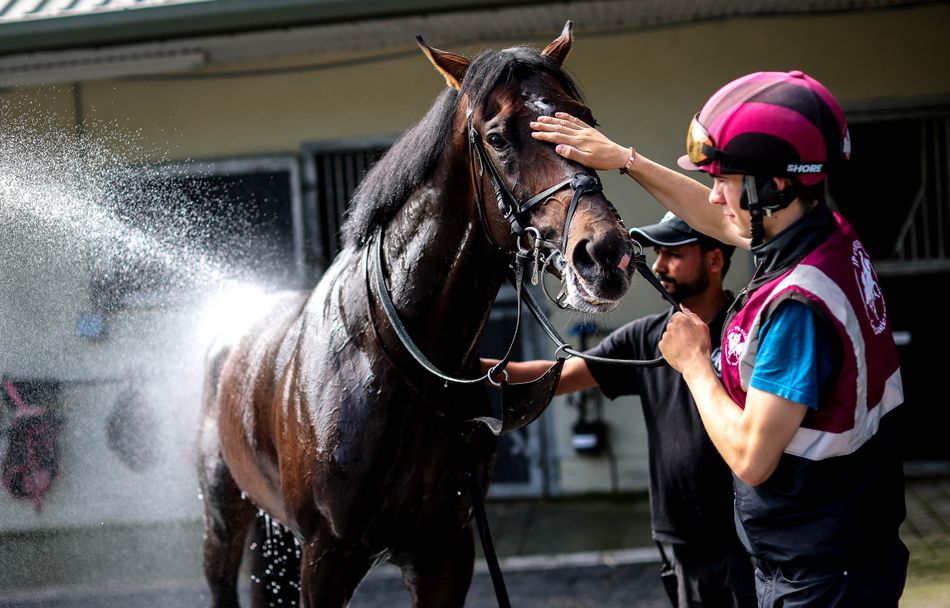 James J Braddock ready to rumble for Irish Derby as Joseph O'Brien bids to round off an extraordinary June