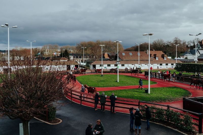 Catalogue released for first Arqana sale of 2025 in Deauville | Racing Post
