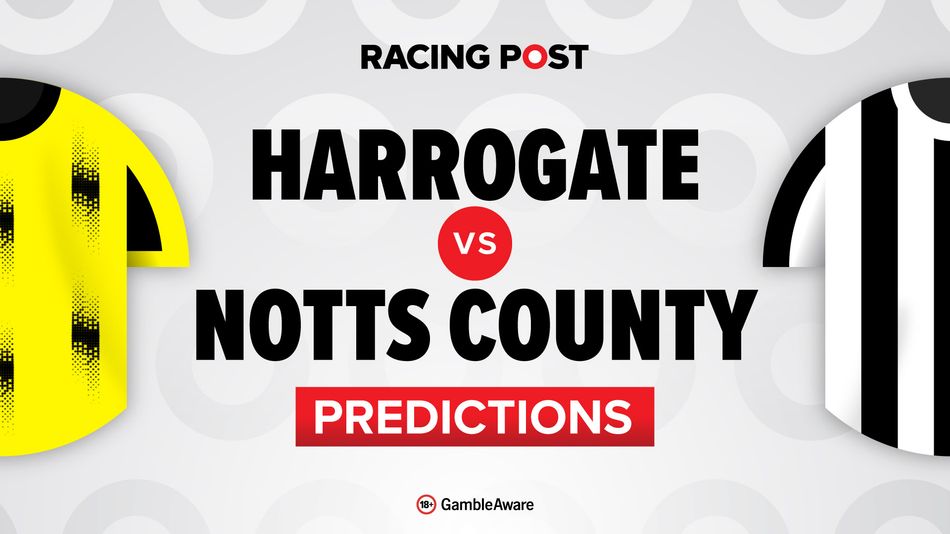 Harrogate vs Notts County predictions, team news, betting tips, odds and Bet Builder